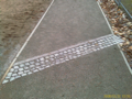 IMAG0009.jpg
