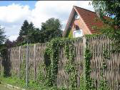 Weidenlärmschutzwand, Flensburg